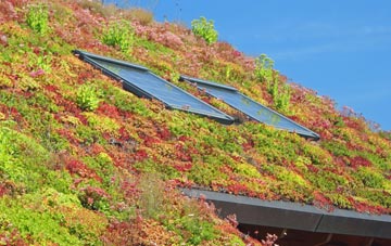 Cauldhame living roof systems